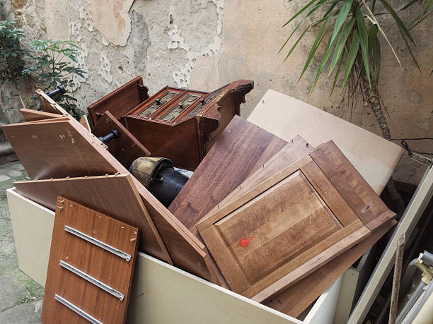 Best Yard Waste Removal  in Farragut, TN